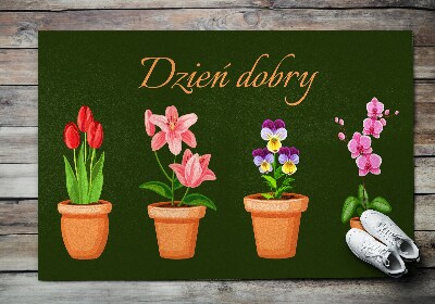 Paillasson extérieur Plantes en pot