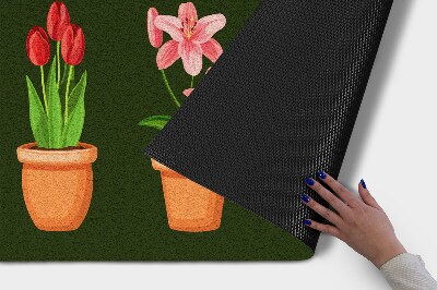 Paillasson extérieur Plantes en pot