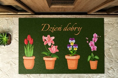 Paillasson extérieur Plantes en pot