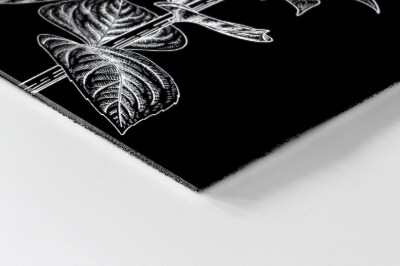 Paillasson extérieur Fleurs d'héliotrope