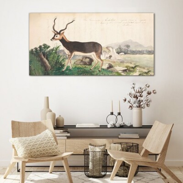 Images en verre avec animaux sauvages