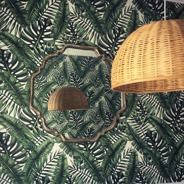 Papiers peints monstera 