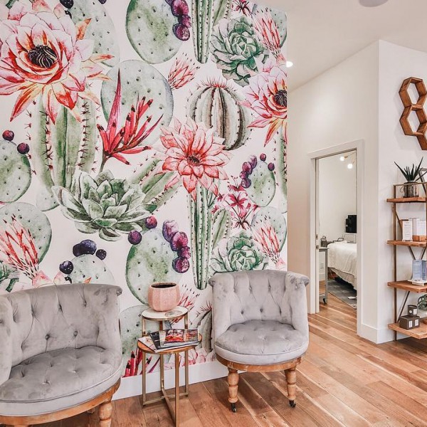 papiers peints cactus 