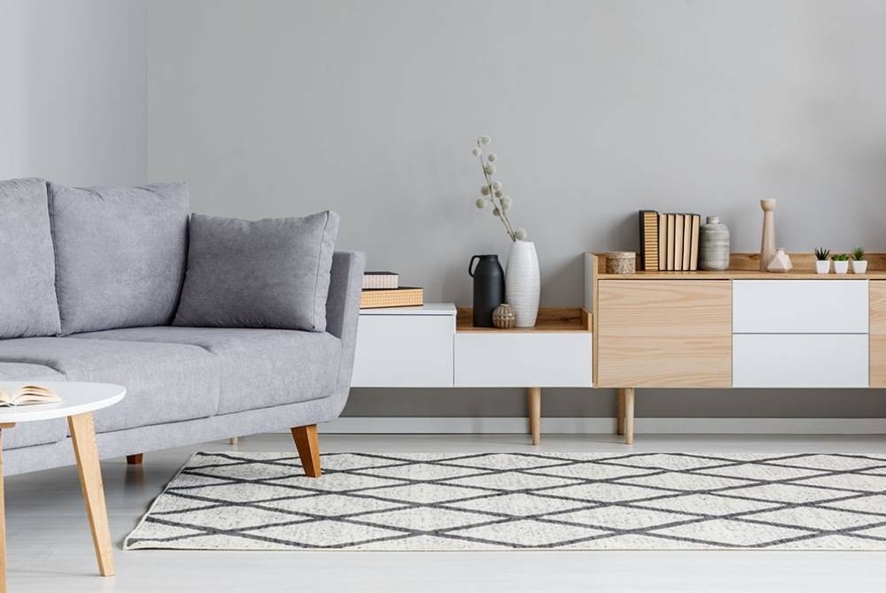 Salon de style scandinave