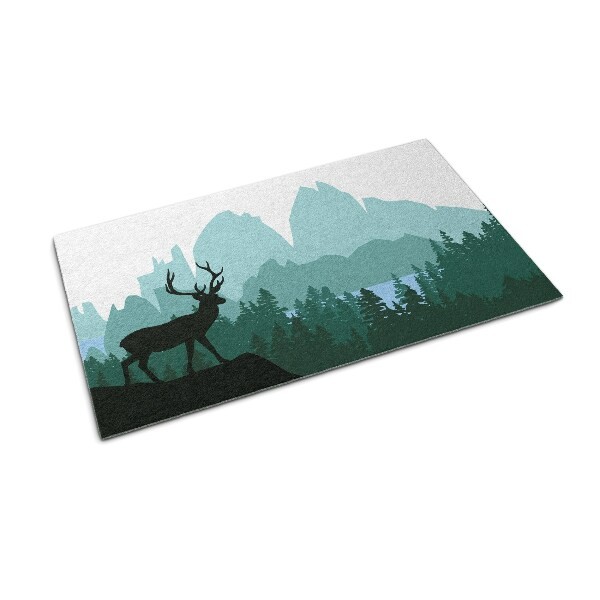 Tapis d’entrée extérieurs avec paysages 